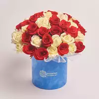 Box of 51 Red and White Roses