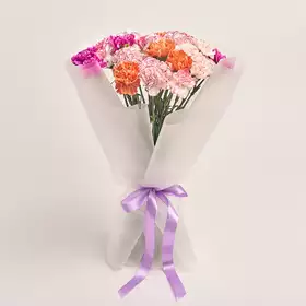 Bouquet 25 Carnations mix