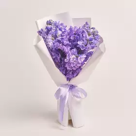 Bouquet 9 Purple Delphiniums