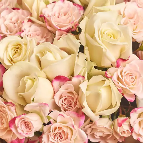 Зображення товару Букет 634, пакування: Прозора, артикул: 2301