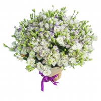 Bouquet 101 White-Violet Eustoma 