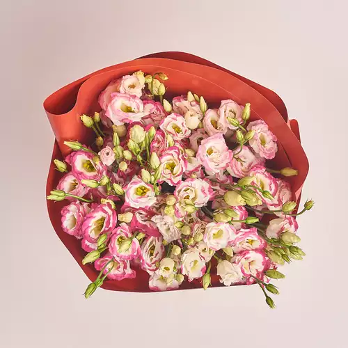 Изображение товара Букет 15 Бело-Розовых Эустом, упаковка: Красная, артикул: 2528