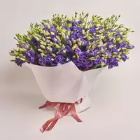 Bouquet 101 Purple Eustoma