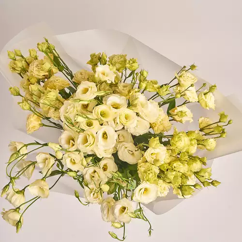 Изображение товара Букет 15 Кремовых Эустом, упаковка: Прозрачная, артикул: 2556