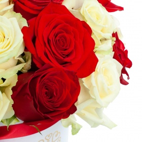 Коробка 31 Червона та Біла Троянда