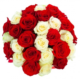 Коробка 31 Червона та Біла Троянда