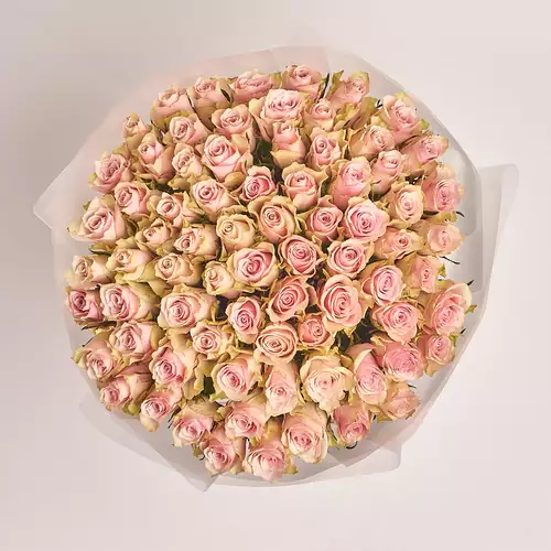 Зображення товару Букет 75 Троянд Пінк Атена, пакування: Прозора, артикул: 2699