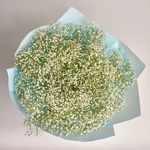 Изображение товара Букет 25 Белых Гипсофил, упаковка: Голубая, артикул: 2708