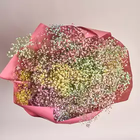 Букет 25 Гіпсофіл Фарбованих