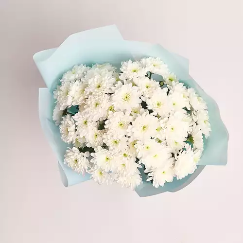 Изображение товара Букет 11 Белых Хризантем, упаковка: Голубая, артикул: 2727