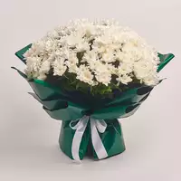Bouquet of 35 White Chrysanthemums