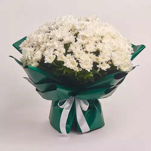 Bouquet of 35 White Chrysanthemums