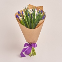 Bouquet of 35 Irises Mix
