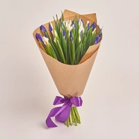 Bouquet of 35 Irises Mix