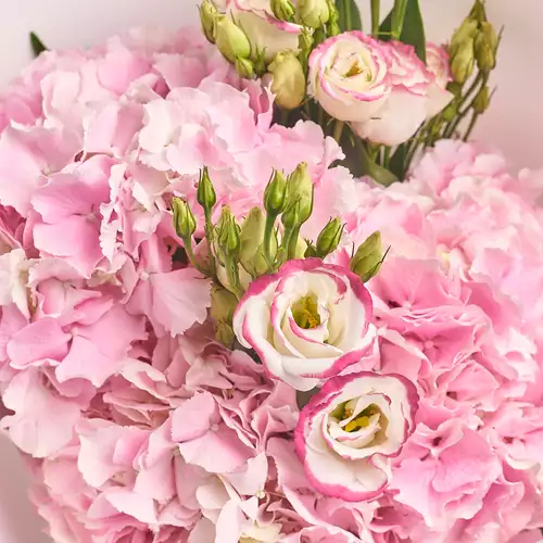 Изображение товара Букет 3  Розовых Гортензии и Эустома, упаковка: Красная, артикул: 2740