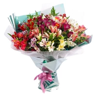 Bouquet 35 Alstroemeria Mix 