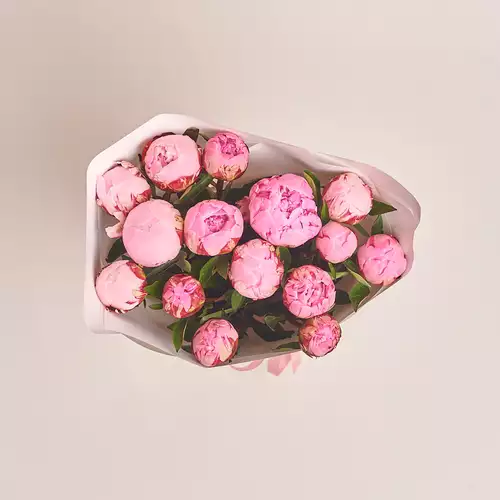 Изображение товара Букет 15 Розовых Пионов, упаковка: Белая, артикул: 2752