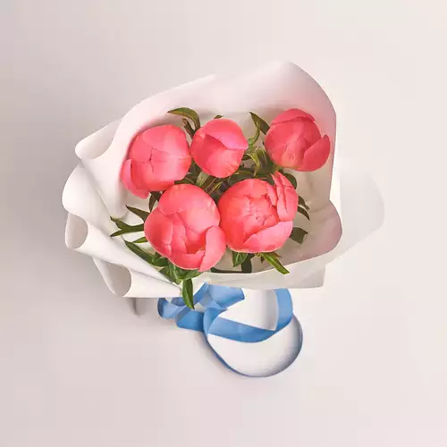 Изображение товара Букет 5 Коралловых Пионов, упаковка: Белая, артикул: 2757