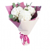 Bouquet of 3 White Hydrangeas 