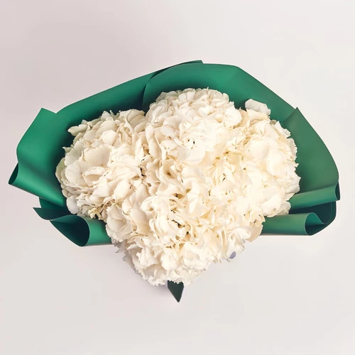 Зображення товару Букет 5 Білих Гортензій, пакування: Зелена, артикул: 2760
