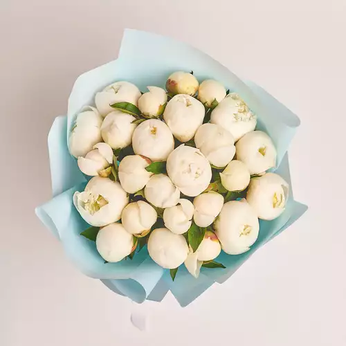 Зображення товару Букет 25 Білих Півоній, пакування: Блакитна, артикул: 2776