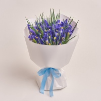 Bouquet of 35 Irises