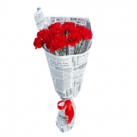 Bouquet of 15 Red Carnations 