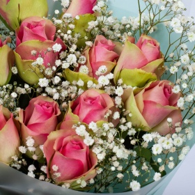 Букет 11 Троянд Белев'ю та Гіпсофіла