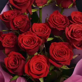Букет 15 Красных роз Престиж