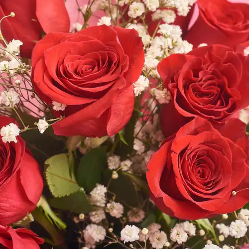 Product image Bouquet of 9 Red Roses Grand Prix and Gypsophila, packaging: Сraft, vendor code: 2377