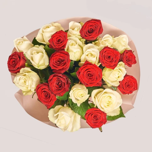 Product image Bouquet of 25 Mix of Red and White Roses, packaging: Powder, SKU: 2376