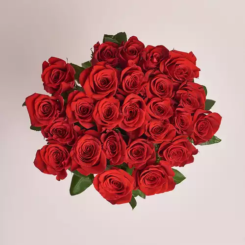 Product image Bouquet of 25 Red Roses Freedom, vendor code: 2390