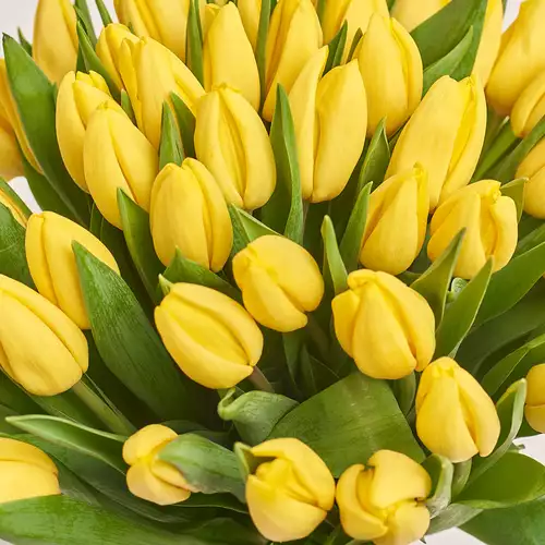 Product image Bouquet 51 Yellow tulip, packaging: Transparent, vendor code: 2289