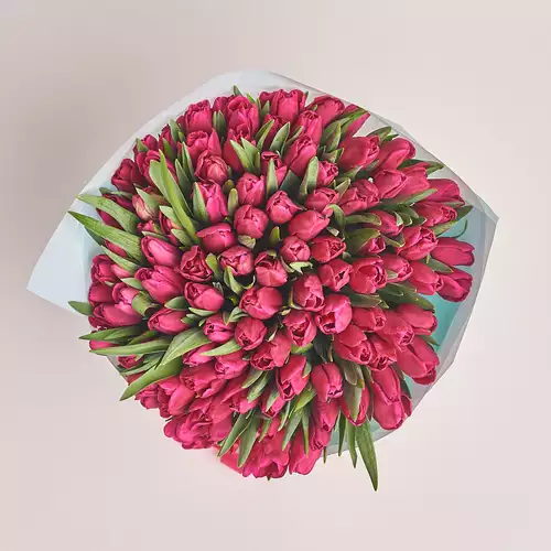 Product image Bouquet 101 Hot pink tulip, packaging: Blue, vendor code: 2241