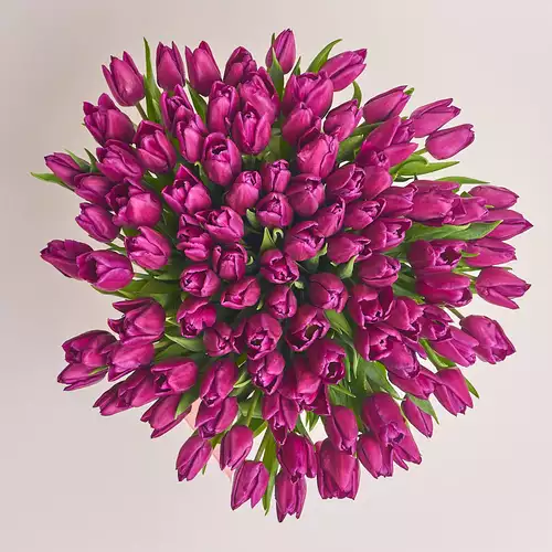 Product image Bouquet 101 Purple tulip, packaging: Purple, vendor code: 2243