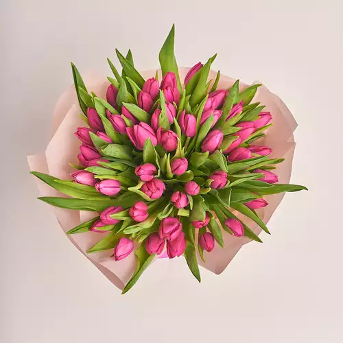 Product image Bouquet 51 Hot pink tulip, packaging: Powder, vendor code: 2365