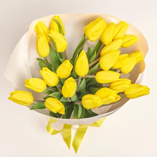 Product image Bouquet of 25 Yellow tulips, packaging: White, vendor code: 2259