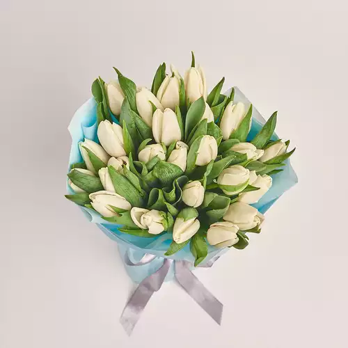Product image Bouquet of 25 White tulips, packaging: Blue, vendor code: 2257