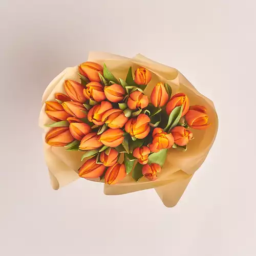 Product image Bouquet of 25 Orange tulips, packaging: Peach, vendor code: 2262