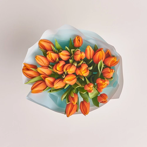Product image Bouquet of 25 Orange tulips, packaging: Blue, vendor code: 2262