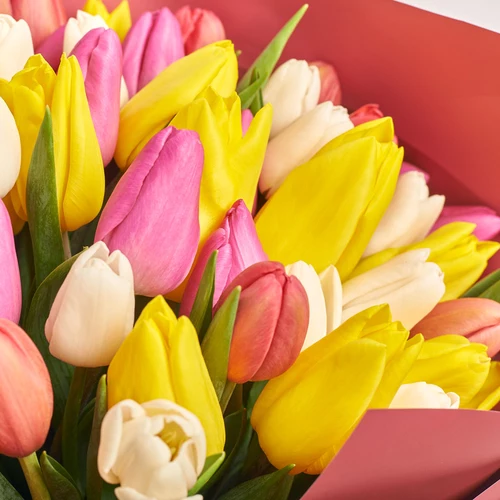 Product image Bouquet 51 Tulip mix, packaging: Coral, vendor code: 2299