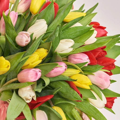 Product image Bouquet 51 Tulip mix, packaging: Red, vendor code: 2299