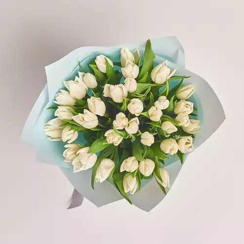 Product image Bouquet of 35 White tulips, packaging: Blue, vendor code: 2270