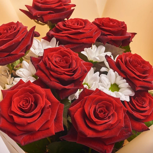 Product image Bouquet of 9 Red Roses and Chrysanthemum , packaging: Peach, vendor code: 2379