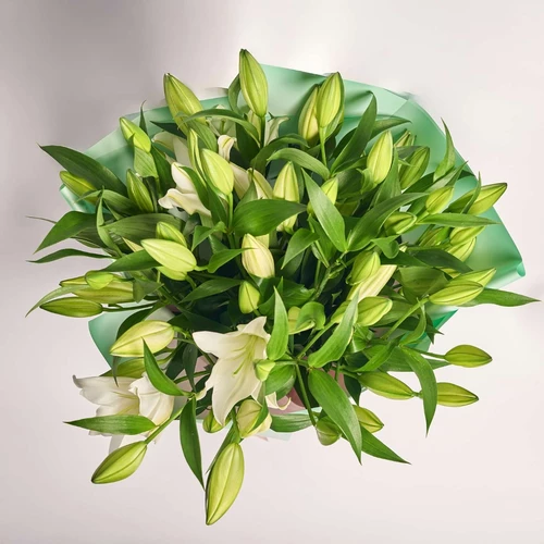 Product image Bouquet of 11 White Lilies, packaging: Gradiens tiffany, SKU: 2091