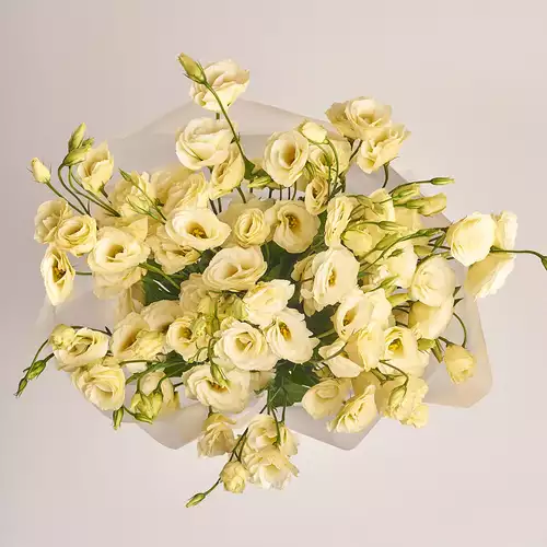 Product image Bouquet of 11 Cream Eustoma, packaging: Transparent, vendor code: 2104
