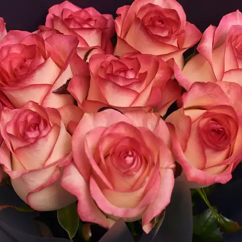 Product image Bouquet of 11 Roses Jumilia , packaging: 
Graphite, vendor code: 2245