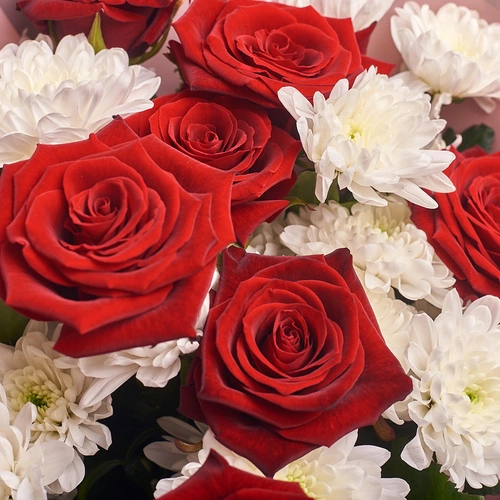 Product image Bouquet of 7 Red Roses and Chrysanthemum , packaging: Powder, vendor code: 2388