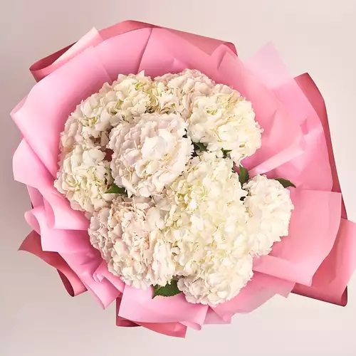 Product image Bouquet of 11 White Hydrangeas, packaging: Coral, vendor code: 2085