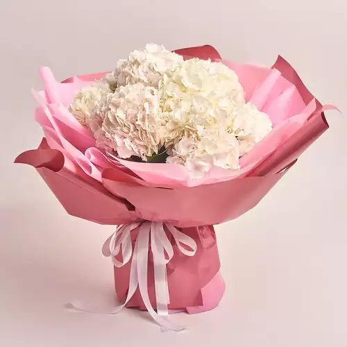 Product image Bouquet of 11 White Hydrangeas, packaging: Coral, vendor code: 2085